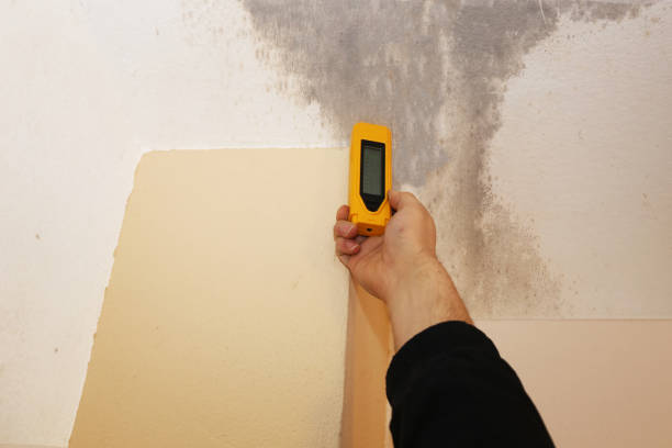 Best Mold Documentation for Insurance Claims  in Lithia Springs, GA