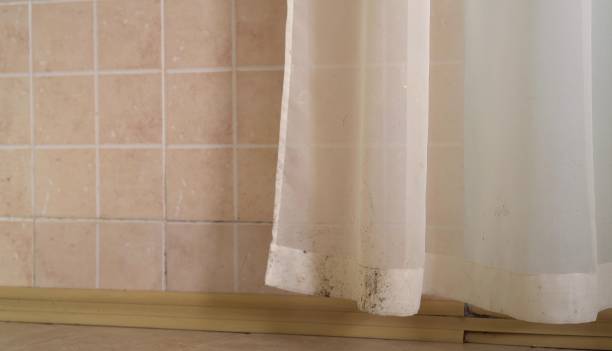Best Mold Odor Removal Services  in Lithia Springs, GA