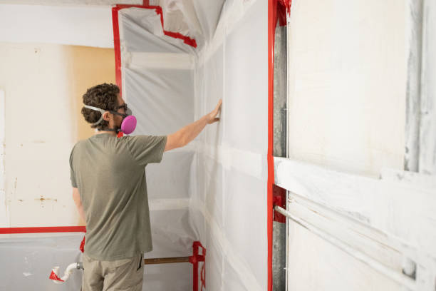 Best Attic Mold Removal  in Lithia Springs, GA