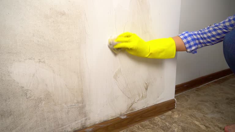 Best Commercial Mold Inspection  in Lithia Springs, GA