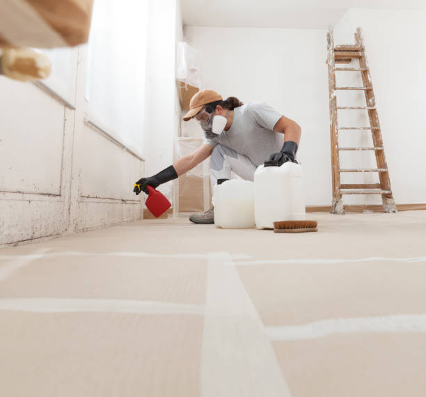 Best Residential Mold Inspection & Testing  in Lithia Springs, GA