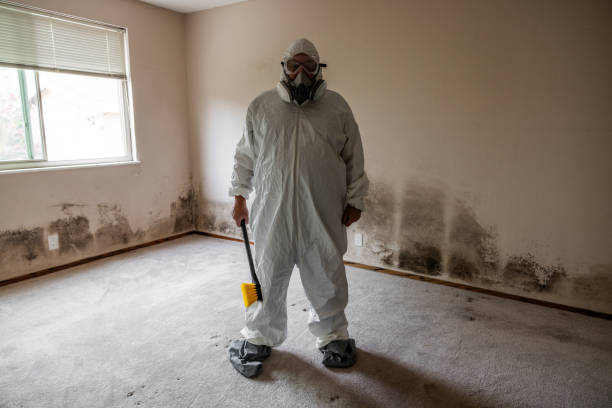 Best Mold Damage Restoration  in Lithia Springs, GA