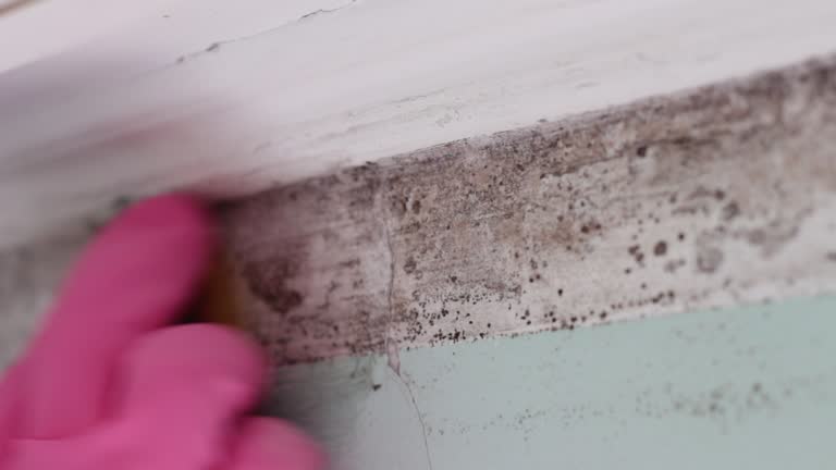 Best Mold Remediation for Healthcare Facilities  in Lithia Springs, GA